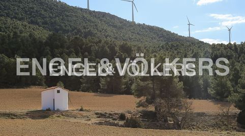 Parque eólico en producción con finca de recreo y caza, imagen 5