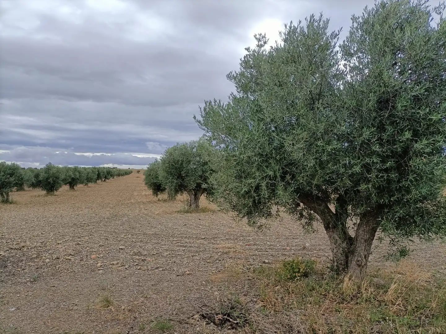 Terreni e lotti in vendita a Villaminaya, imagen 6