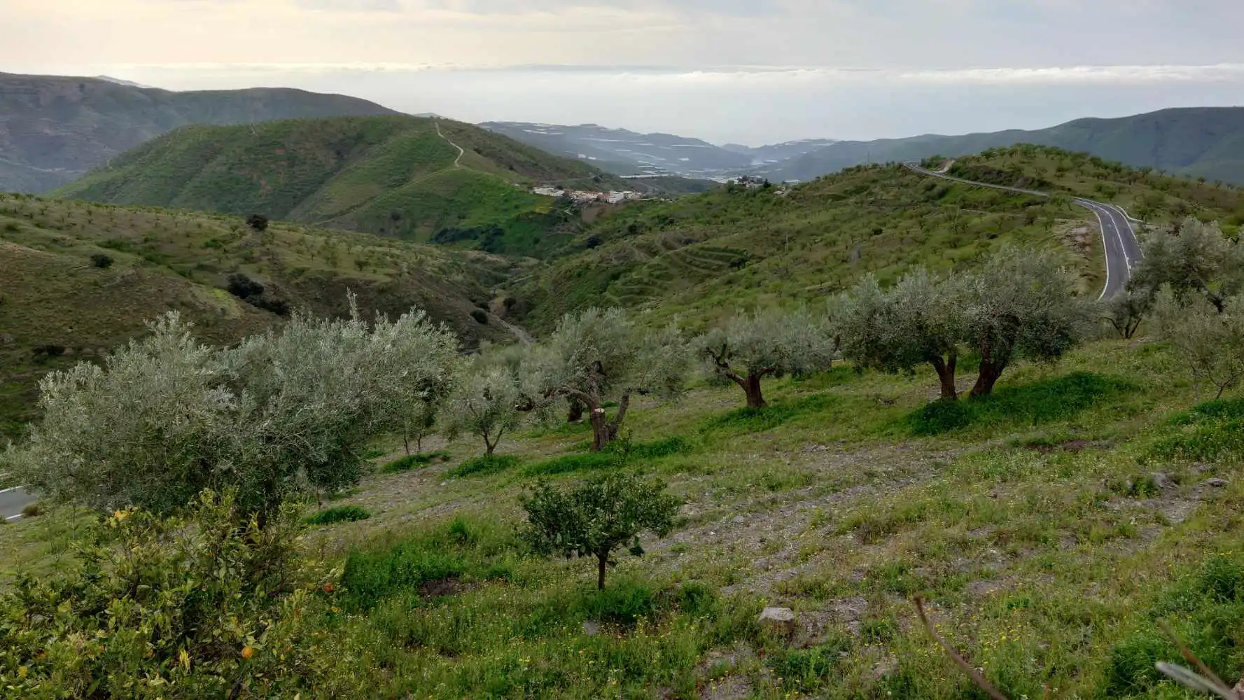Casa rústica amb terrassa en venda a Camino de la Ermita, imagen 43