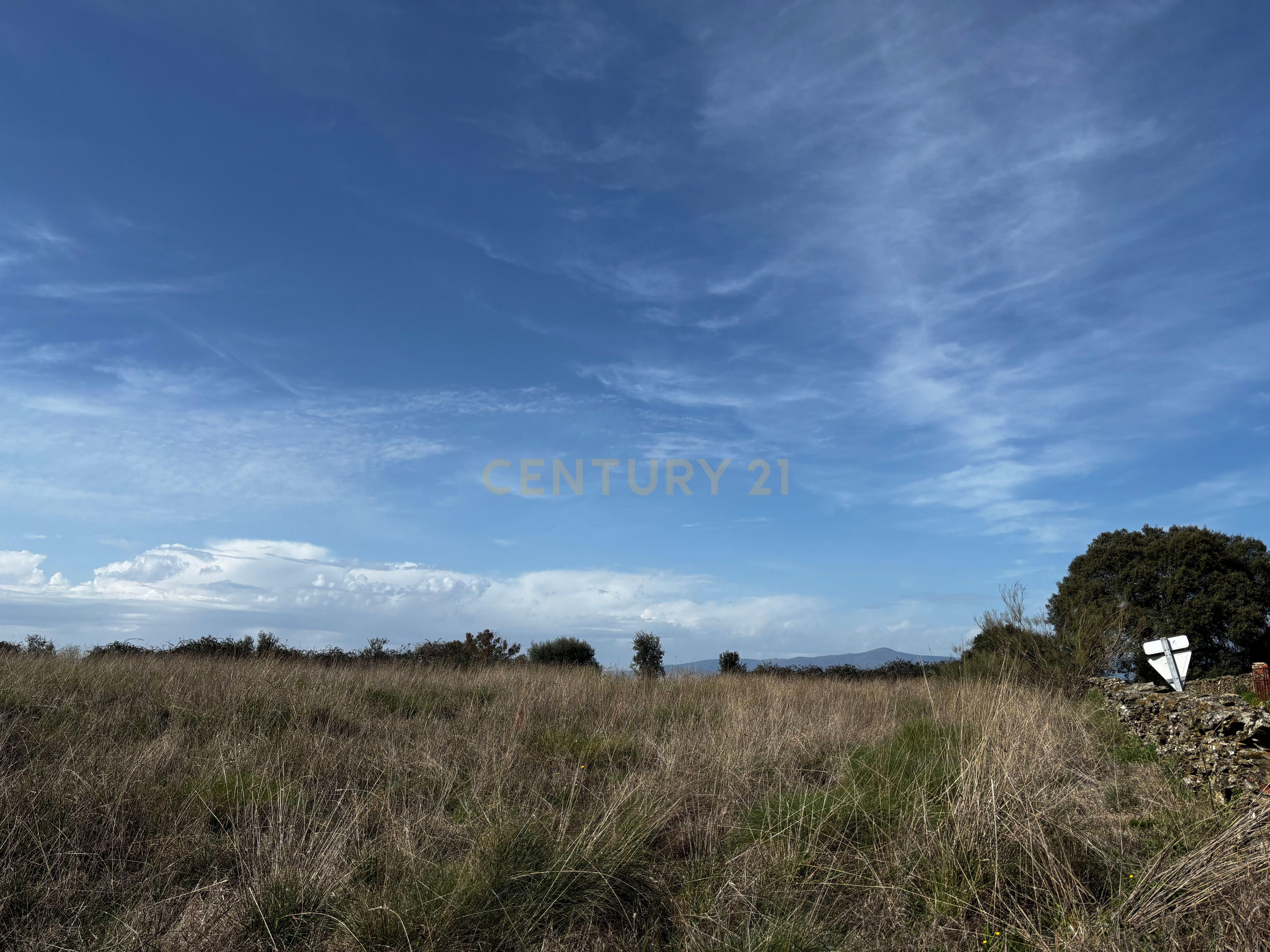 Land for sale in Guijo de Coria