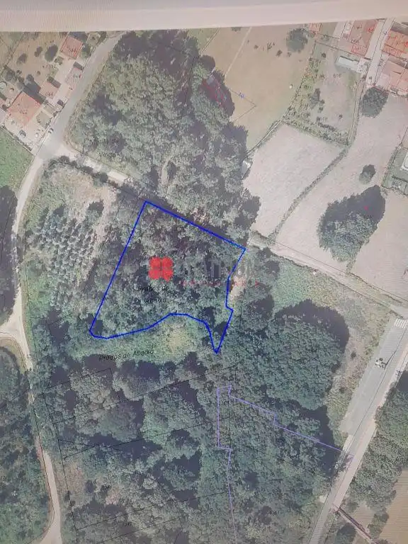 Rural land for sale in Prados de Abaixo