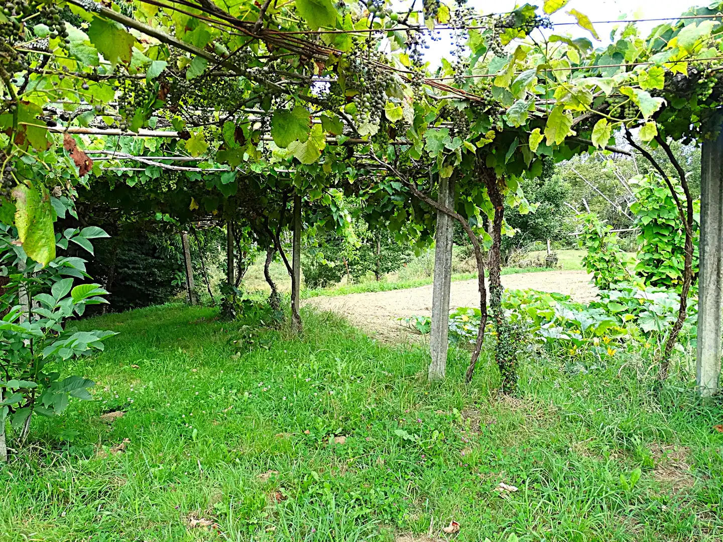 Finca rústica en venda en Narón amb Calefacció, Jardí privat i Parquet