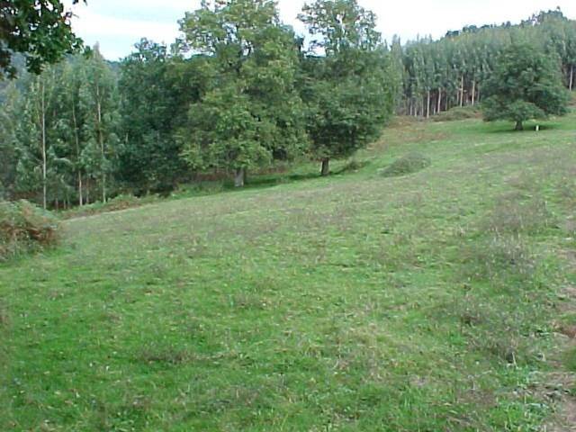 Terreno residencial en Venta en Artzentales