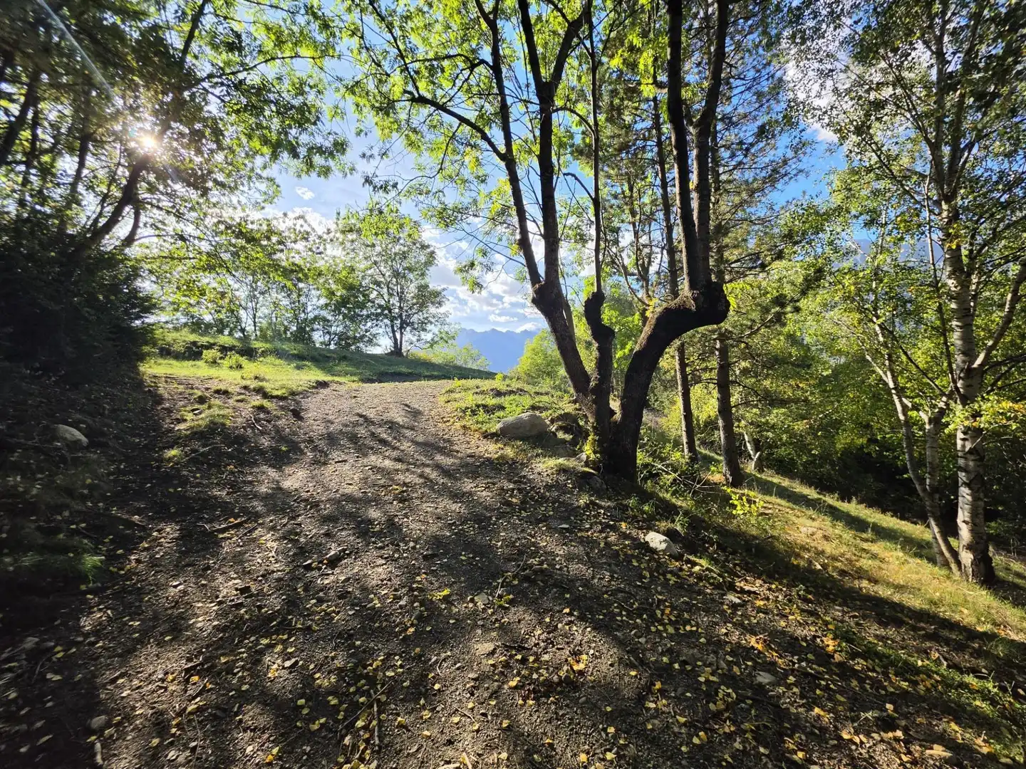 Lands and plots for sale in Benasque, imagen 12