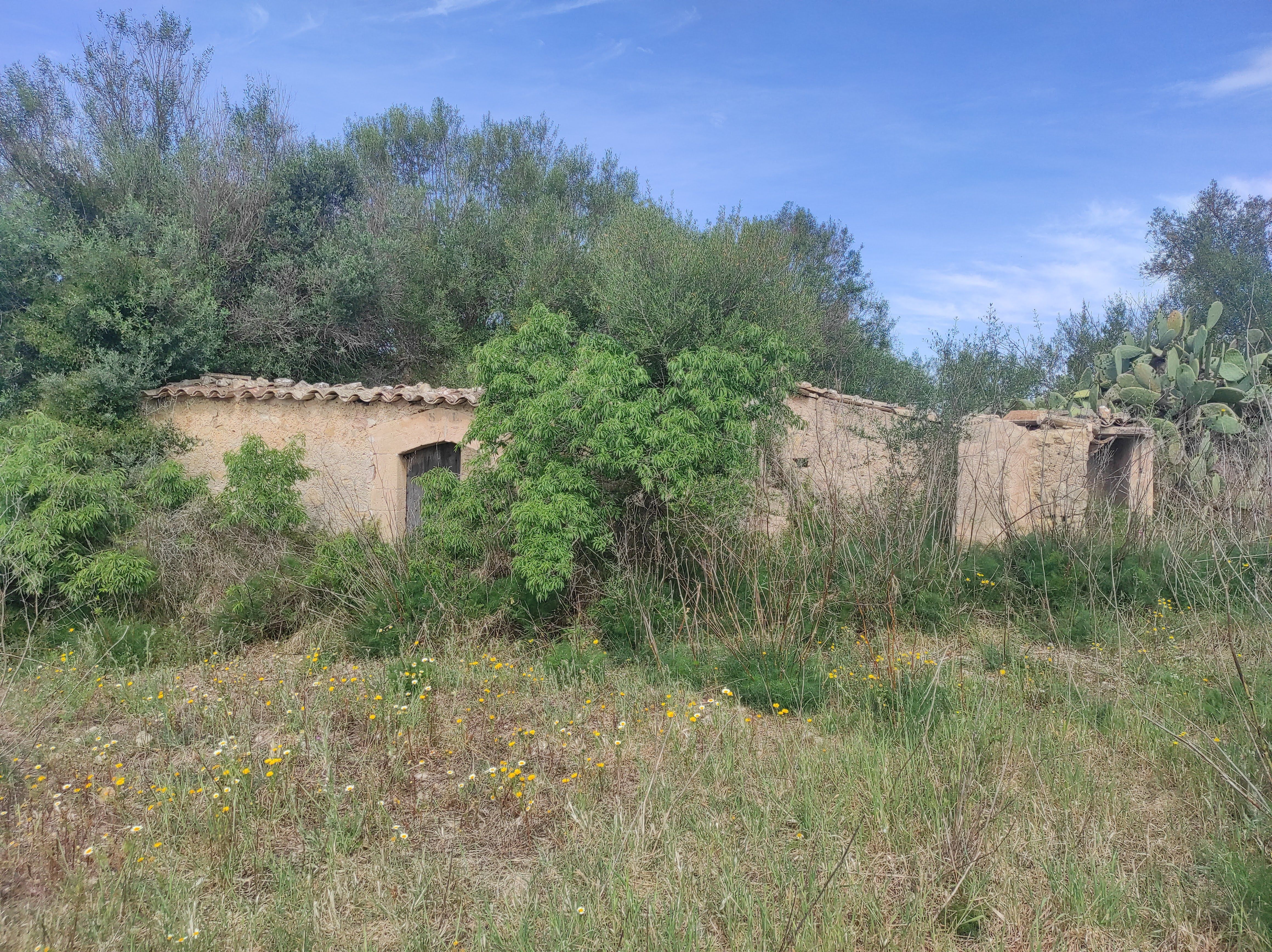 Finca rústica en venda en Sineu