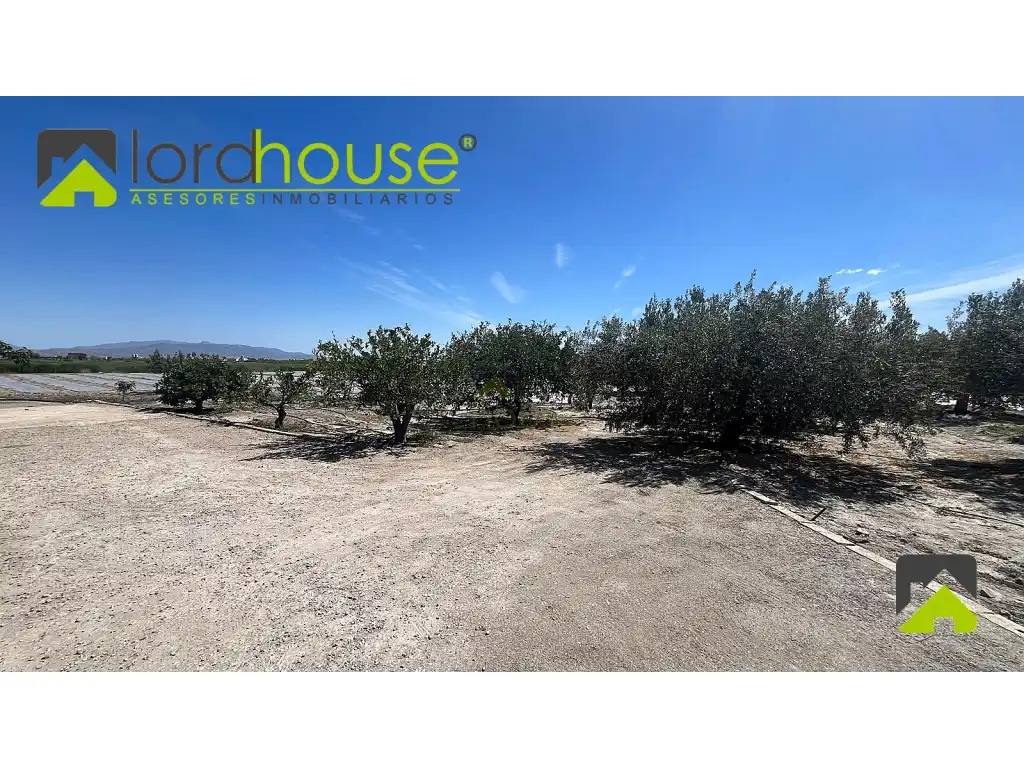 Casa o chalet en venta en Lorca