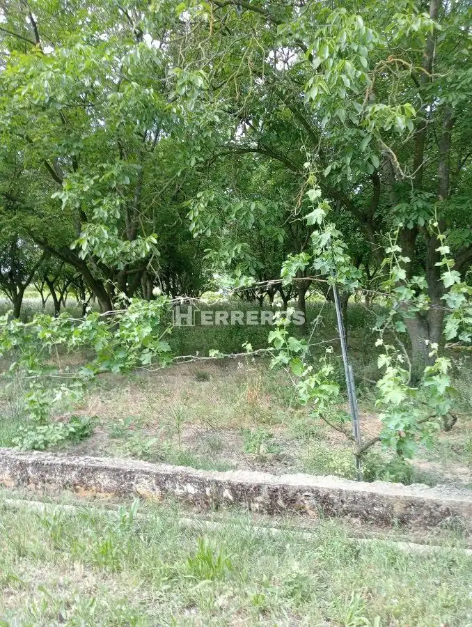 Finca rústica en venda en Arrúbal