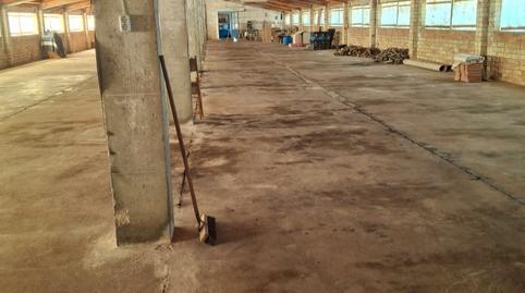 Foto 5 von Geschaftsraum zum Verkauf in Carretera Tortosa, 70, L'Aldea, Tarragona