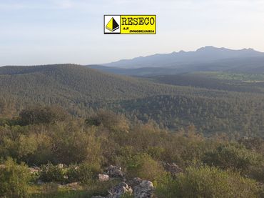 Terreno rustico in vendita a Villanueva de la Serena