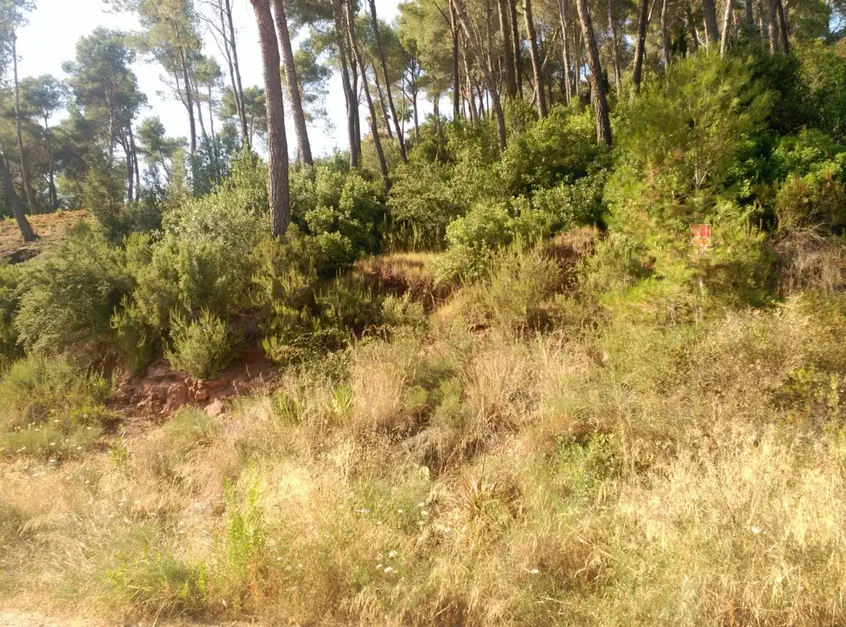 Terreni e lotti in vendita a Corbera de Llobregat, imagen 17