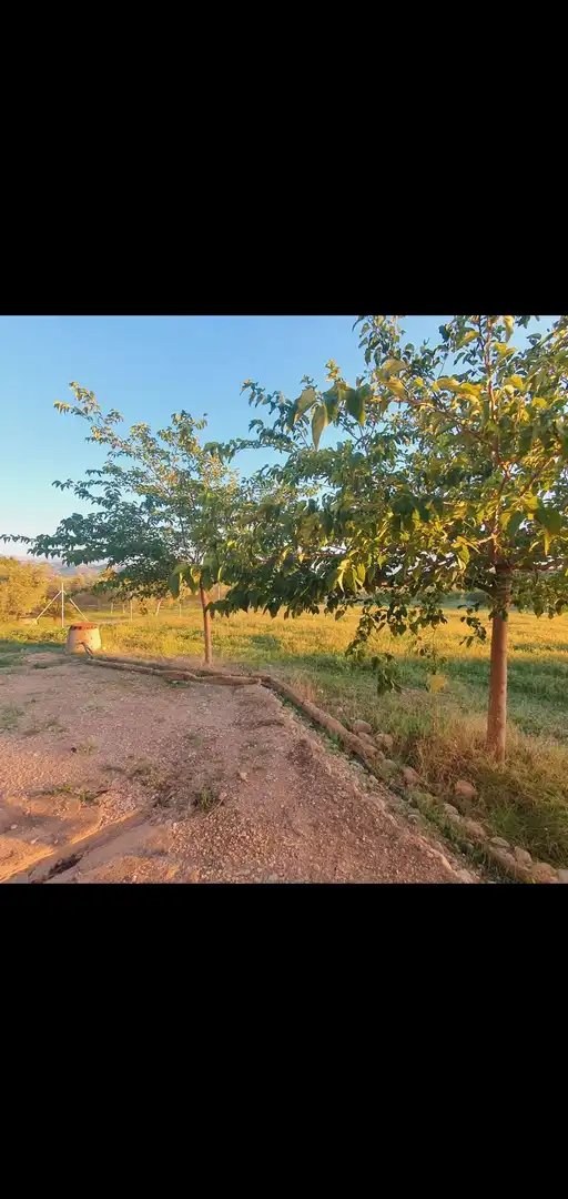 Casa en venta en Móra d'Ebre, imagen 11