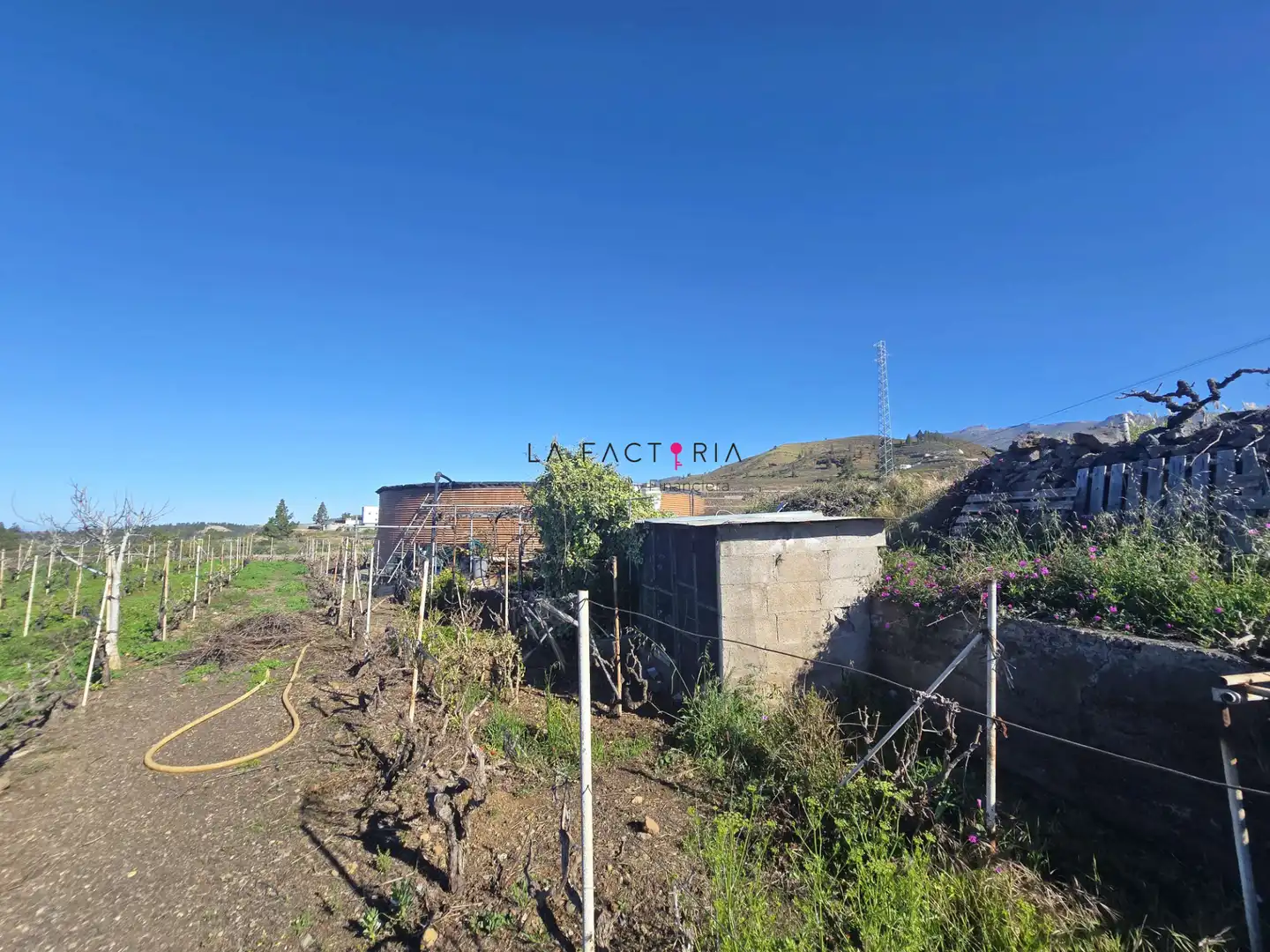Terreno rústico en venta en Vilaflor de Chasna, imagen 2