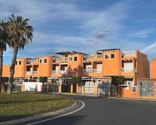 Vista exterior de Casa o xalet en venda en Torrevieja amb Aire condicionat i Piscina comunitària