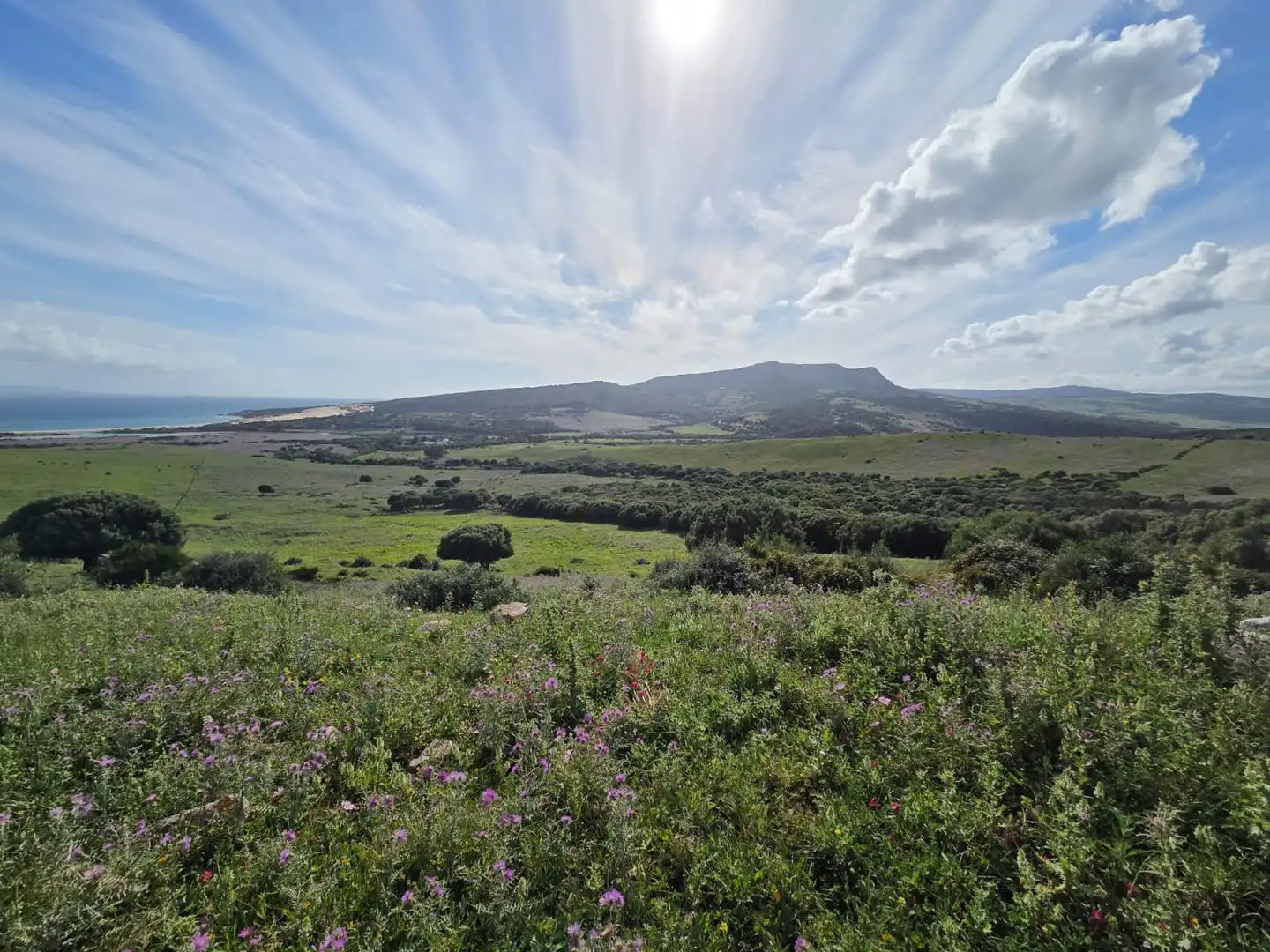 Terreno en venta en Tarifa