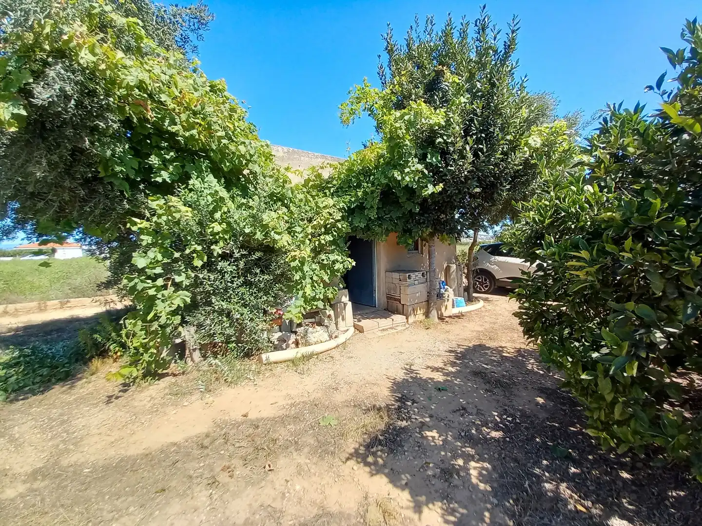 Land for sale in Vinaròs
