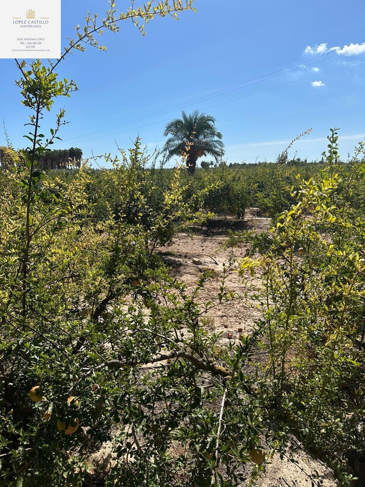 Terreny en venda a La Algoda - Matola - Llano de San José, Elche / Elx