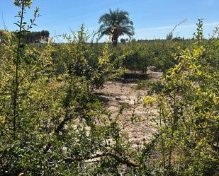 Land for sale in Elche / Elx