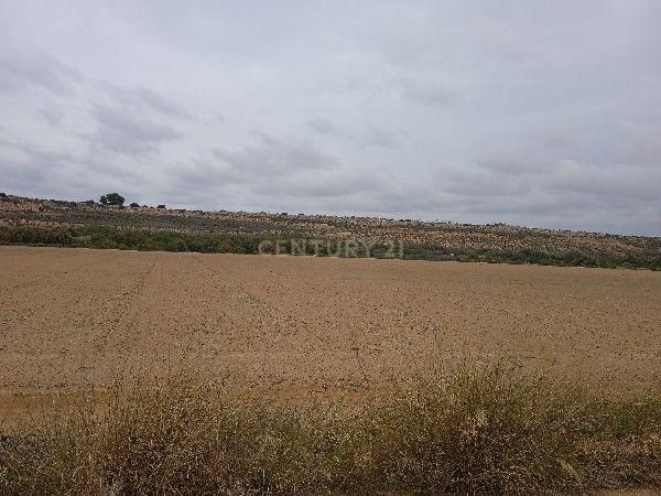 Industrial land for sale in  Murcia Capital