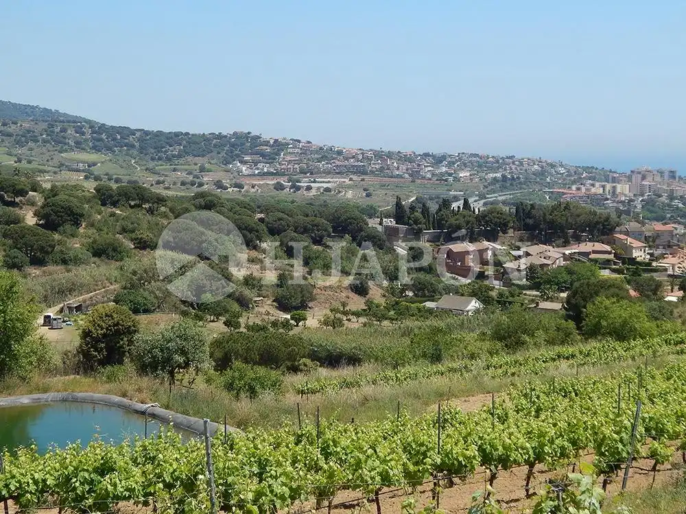 Casa o xalet en venda en Alella amb Jardí privat, Terrassa i Piscina