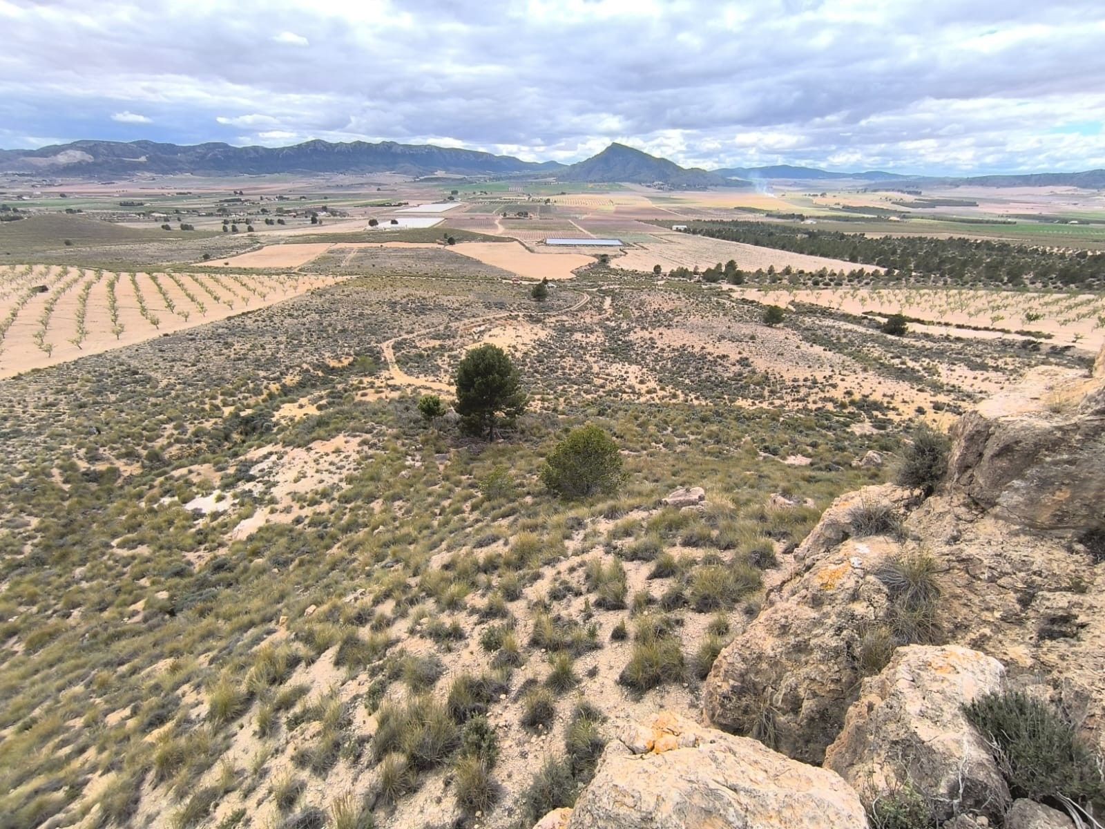 Residential for sale in Yecla