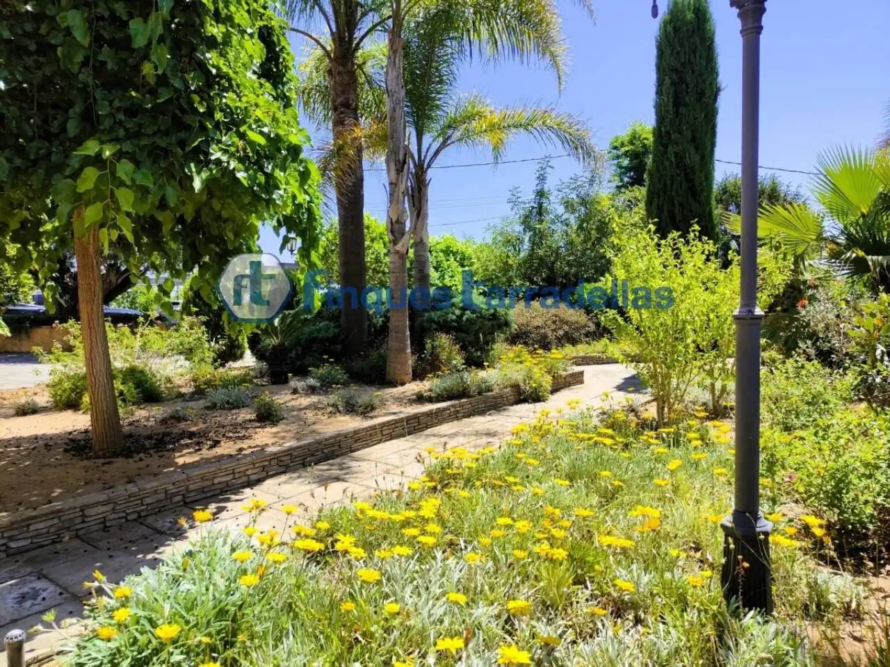 Rural land for sale in Mas Mora - Sant Daniel, imagen 12