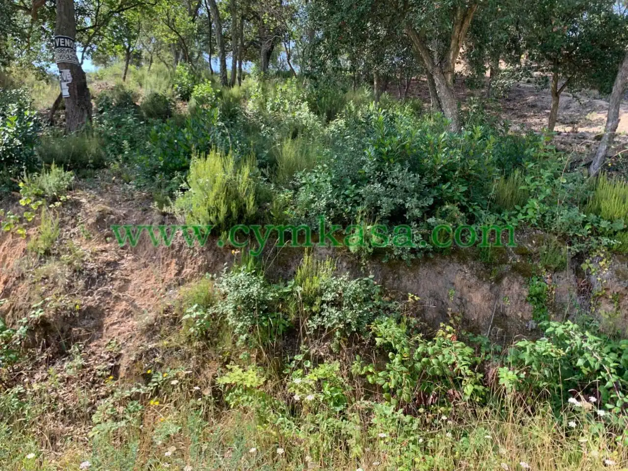 Terreny residencial en venda a Maçanet de la Selva pueblo, imagen 3