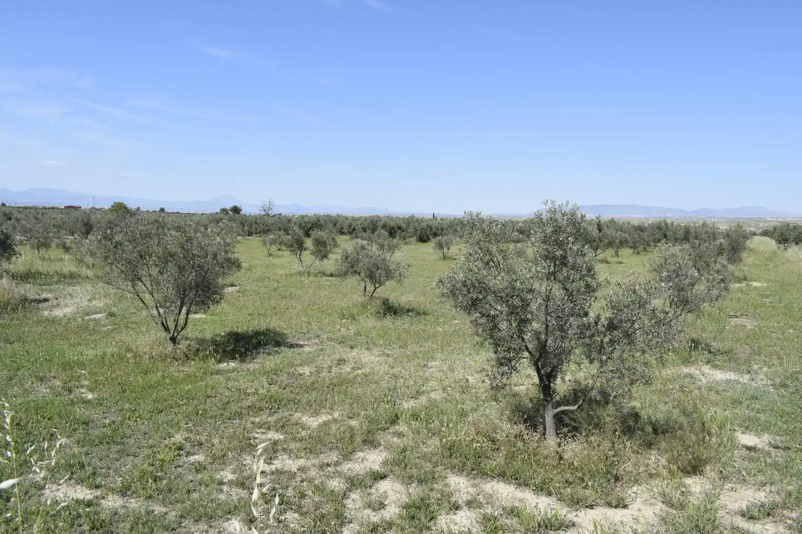 Casa o chalet en venta en Baza con Jardín privado y Piscina