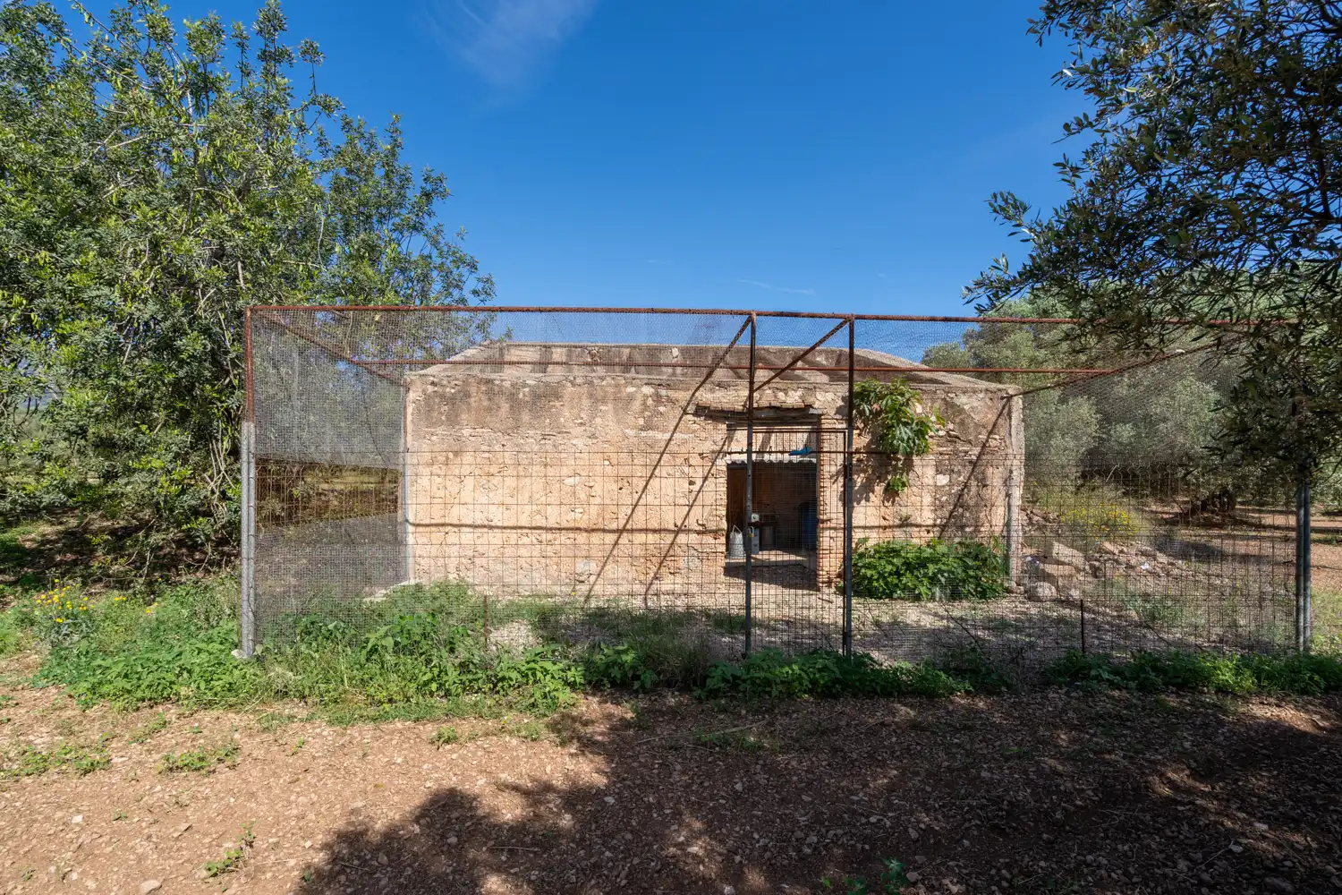 Terreno rustico in vendita a Camí de Terrapico 21, imagen 18