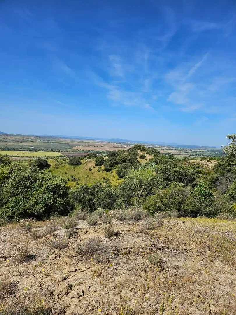 Terreno rustico in vendita a Las Herencias, imagen 8