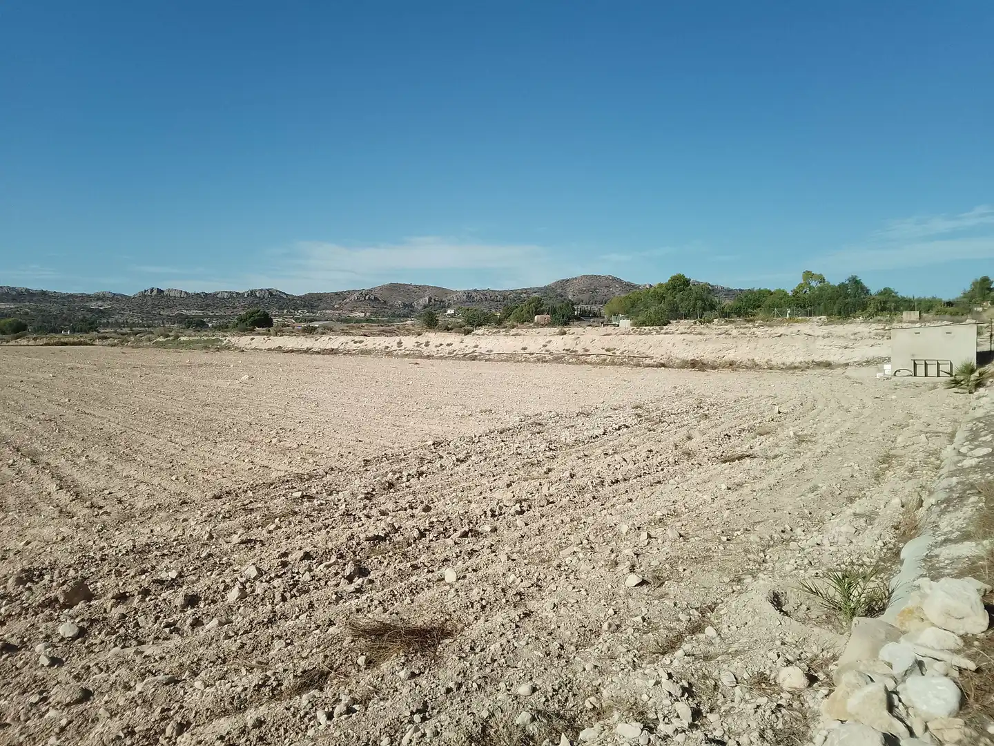 Terrain rustique à vendre à Novelda
