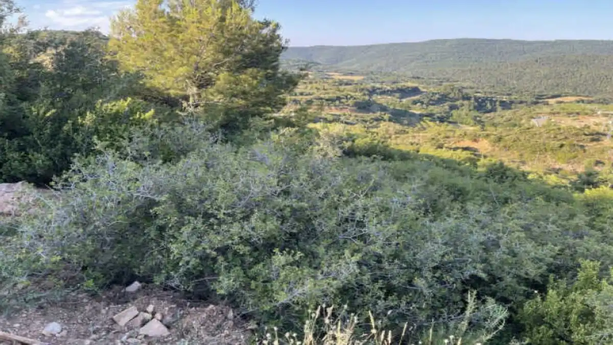 Residencial en venda en Agüero