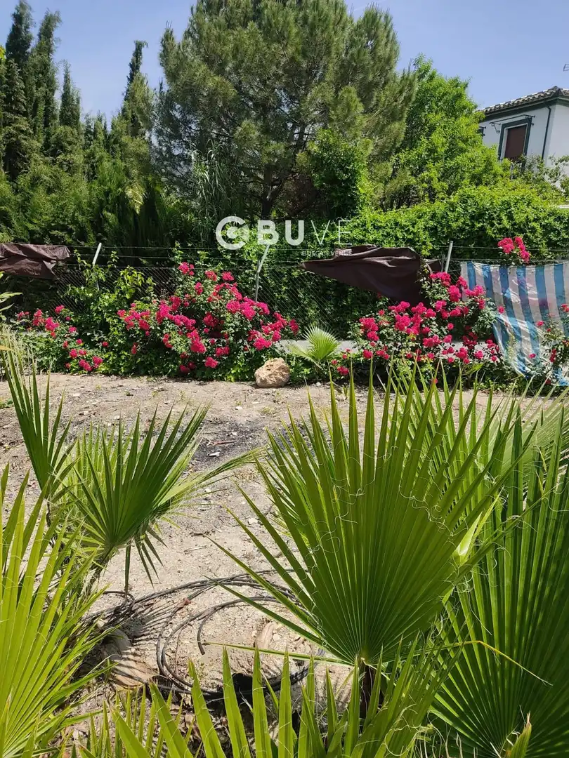 Garden of Houses for sale in Rute  with Terrace, Storage room and Swimming Pool