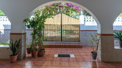 Encantadora casa de campo con piscina y apartamento independiente – Paraje El Corchito (Huelva, Andalucía), imagen 3