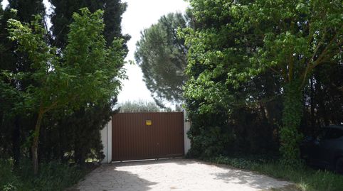 Foto 2 de Finca rústica en venta en Fuente El Saz de Jarama, Madrid