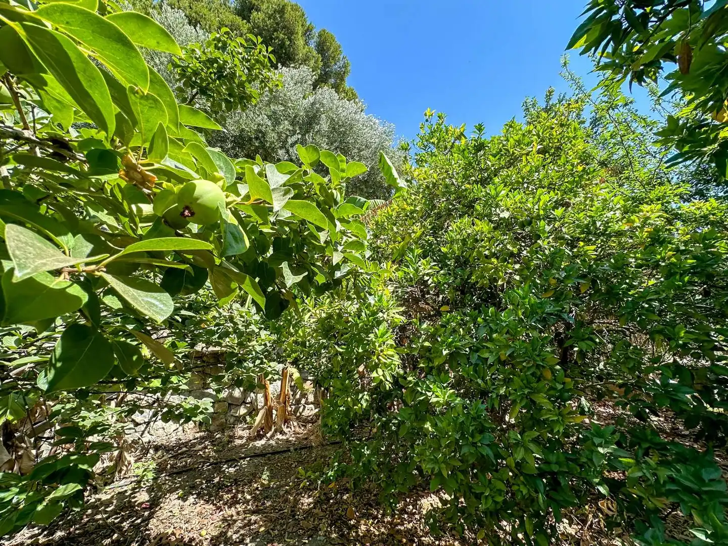 Casa o chalet en venta en Motril con Calefacción, Terraza y Trastero