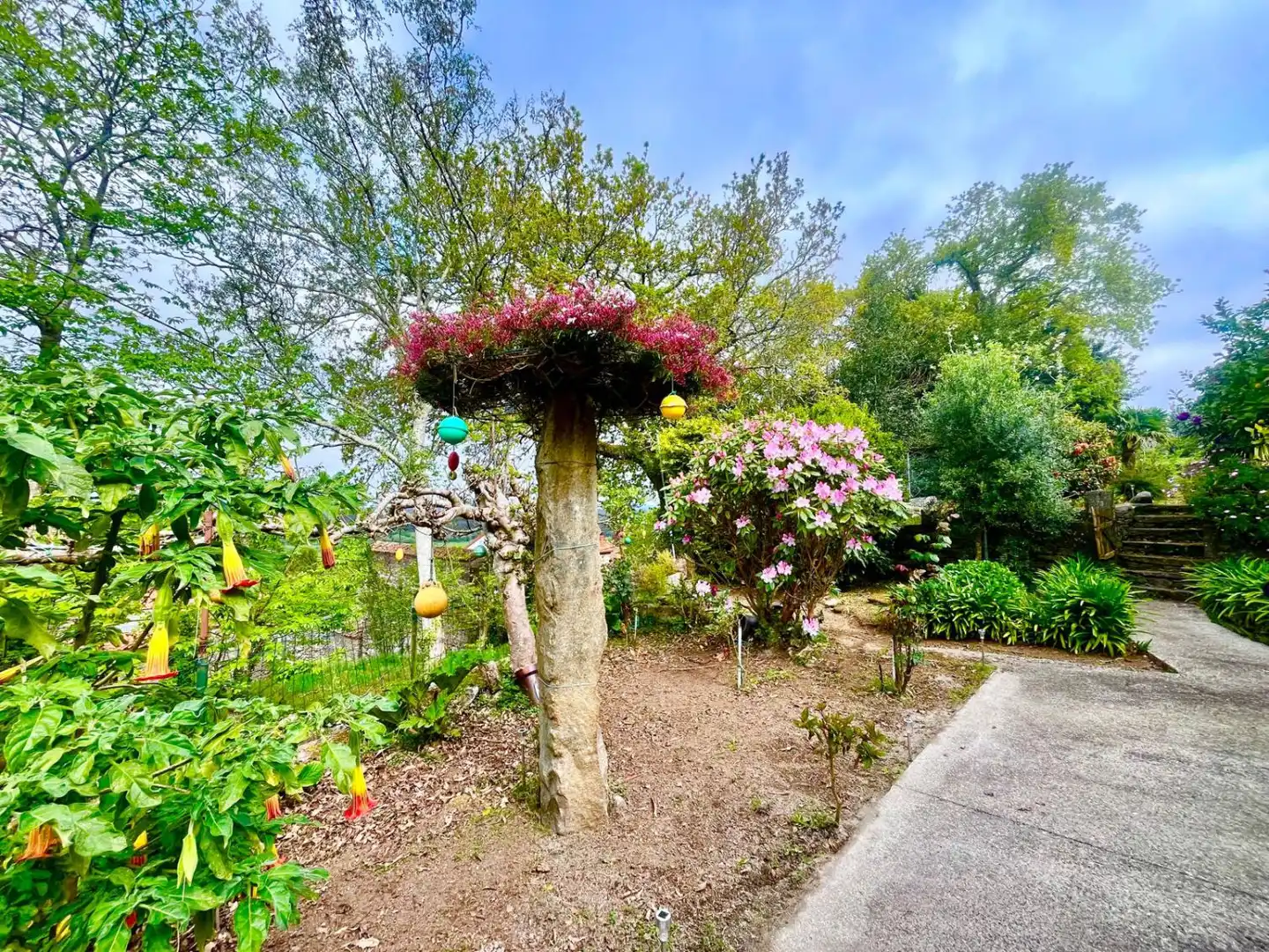 Jardín de Casa o chalet en venta en Zas