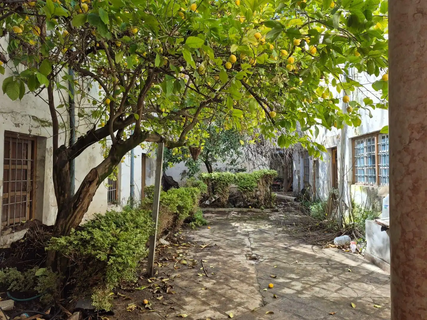 Exterior view of Detached homes for sale in Loja  with Terrace
