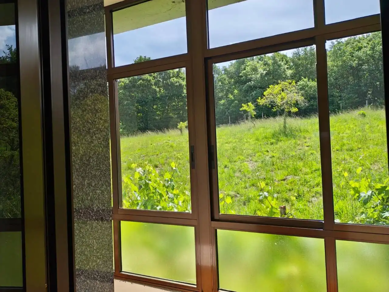 Casa amb jardí en venda a O Pereiro de Aguiar, imagen 34