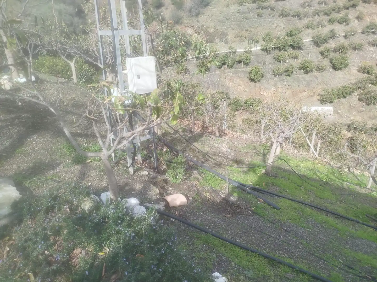 Jardí de Finca rústica en venda en Vélez-Málaga amb Jardí privat, Traster i Moblat