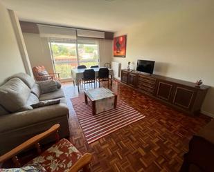 Sala d'estar de Pis de lloguer en Burgos Capital amb Calefacció, Terrassa i Moblat
