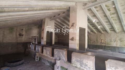 Foto 4 de Finca rústica en venda a Carretera Me7, Son Parc, Es Mercadal