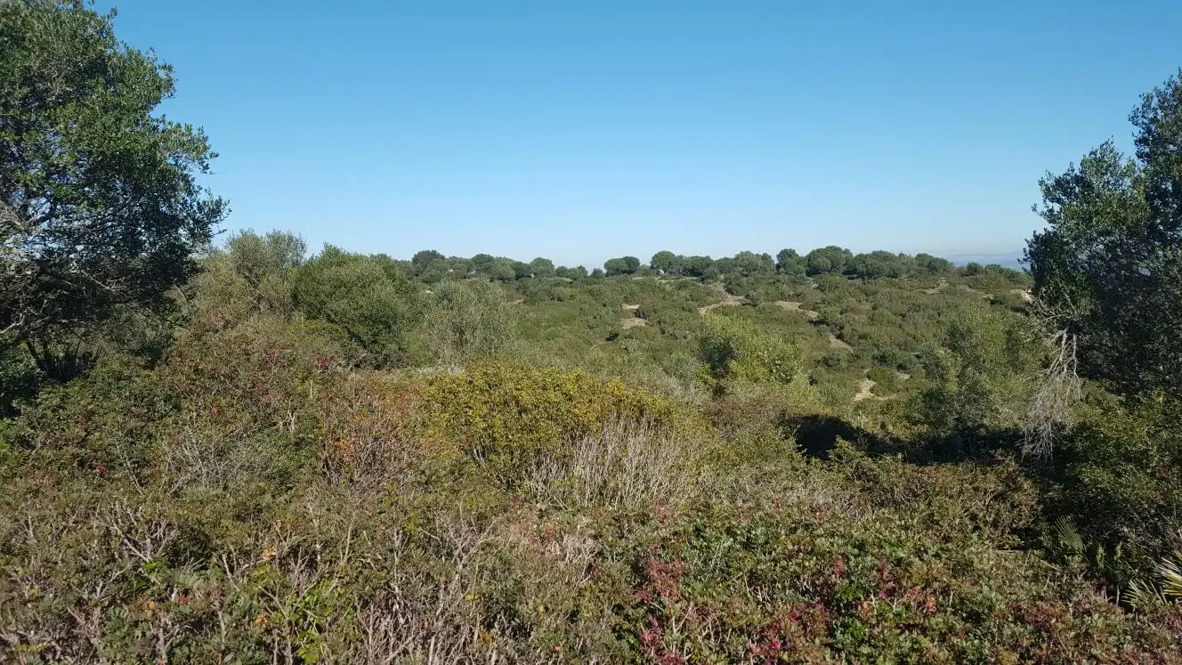 Rural land for sale in Carretera Sevilla Utrera