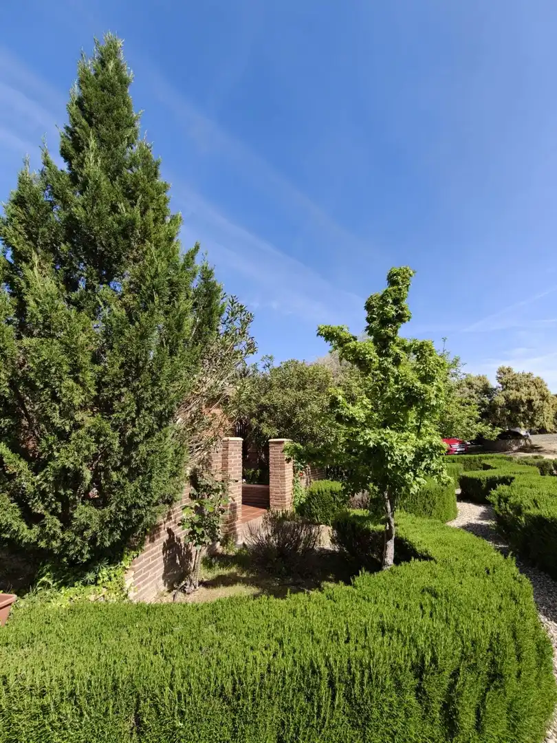 Chalet en venta en CERRO PALOS poligono 45 parcela 63, imagen 29