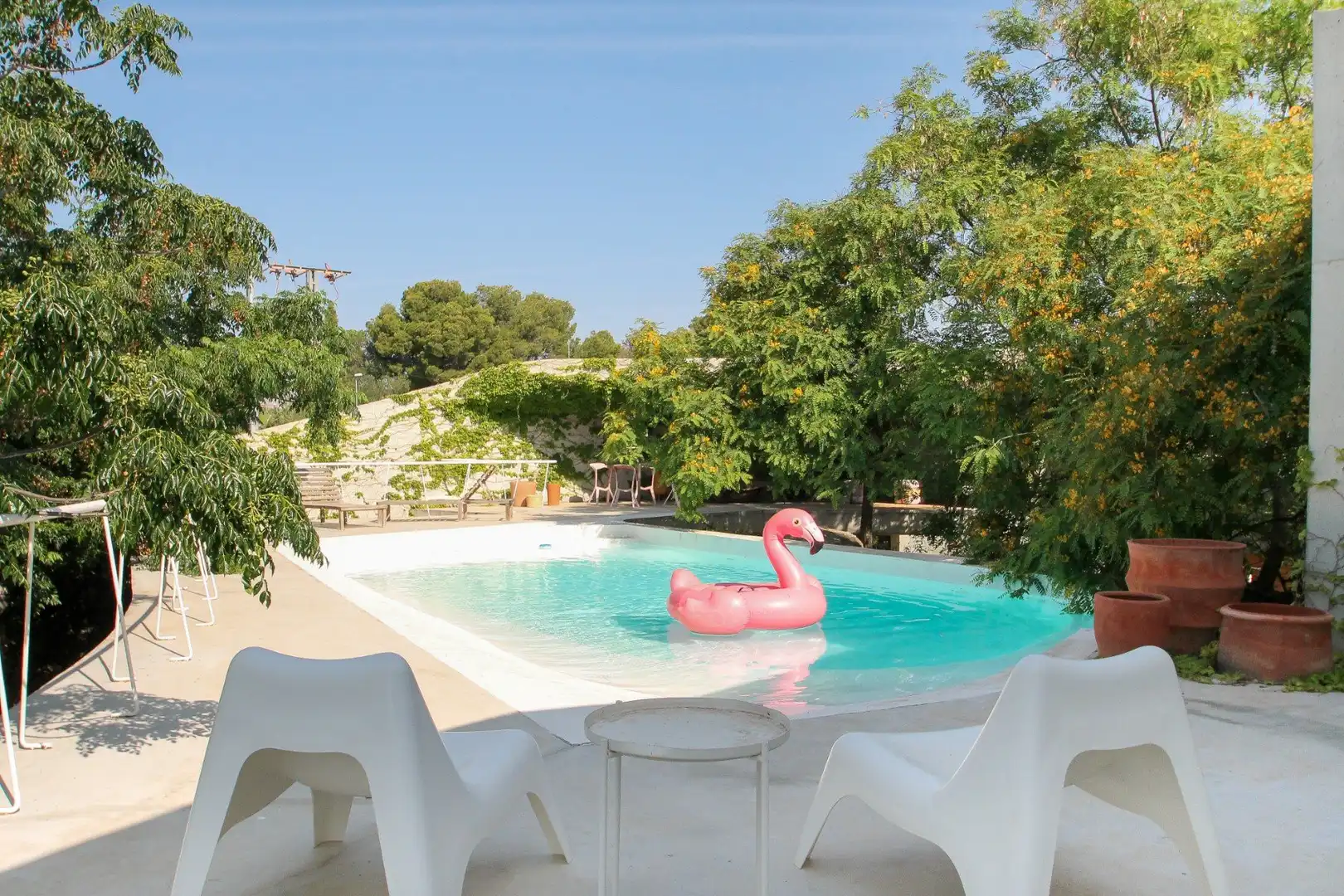 Swimming pool of Houses for sale in San Vicente del Raspeig / Sant Vicent del Raspeig  with Private garden, Storage room and Swimming Pool