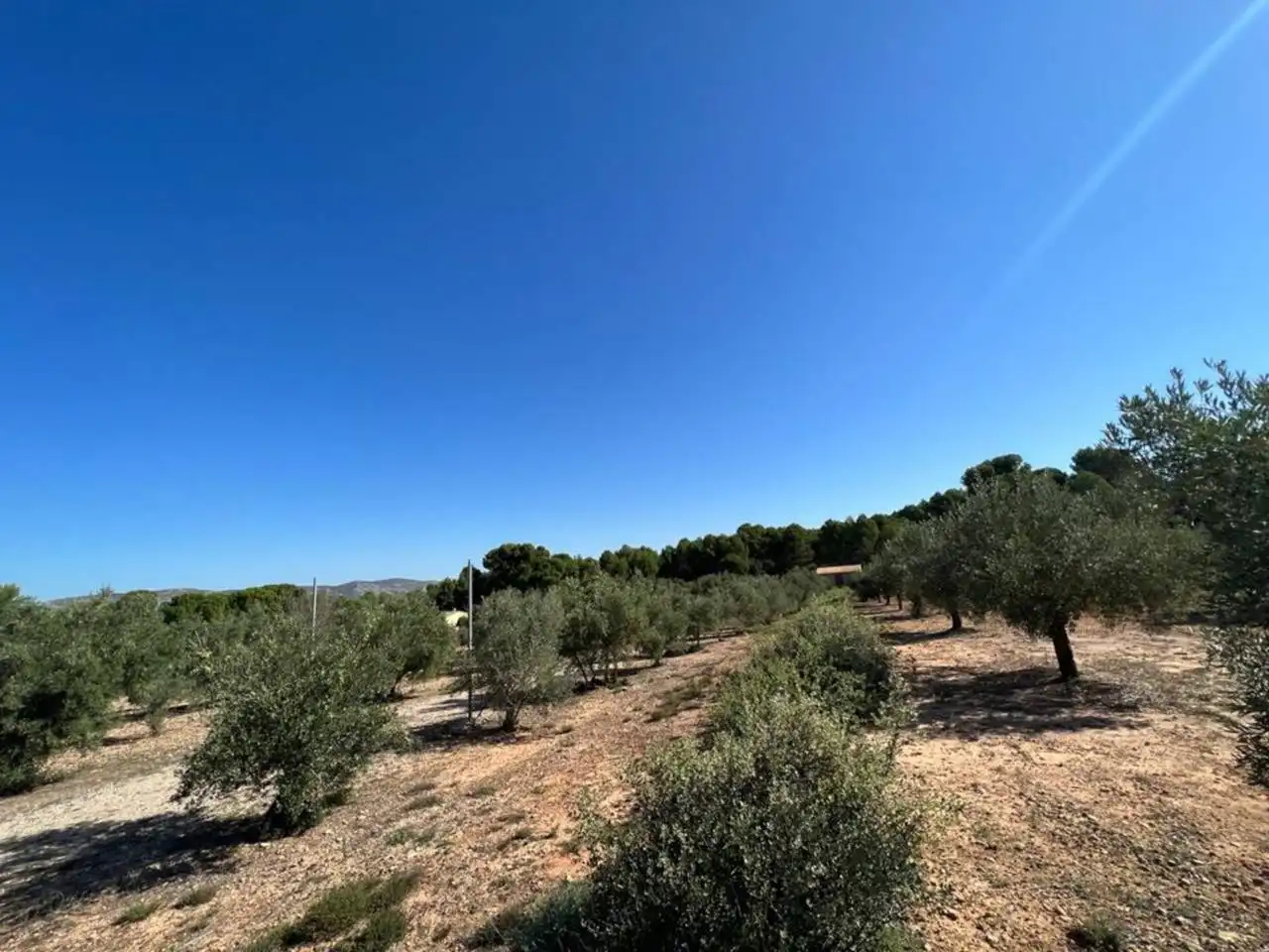Chalet en venta en Banyeres de Mariola, imagen 50