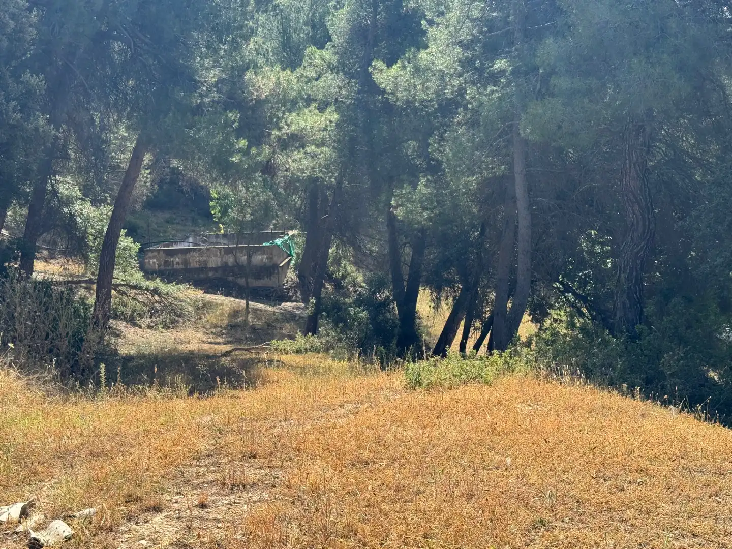 Terreno en venta en Monroyo
