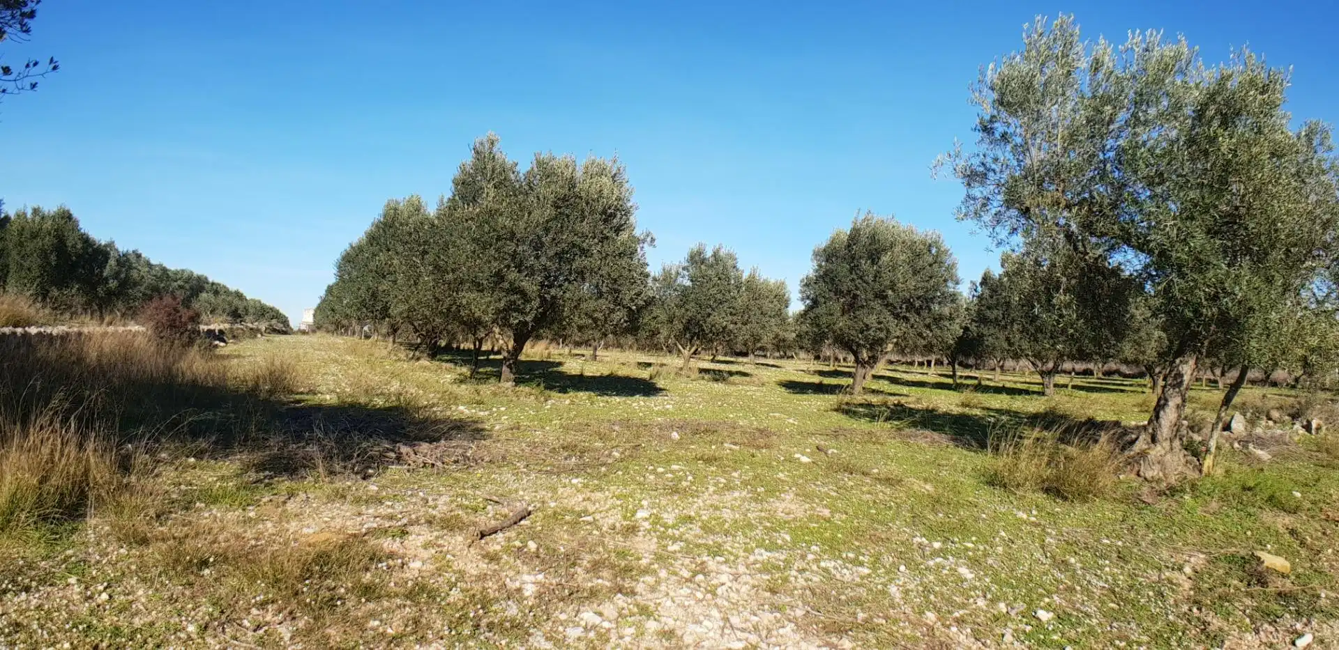 Finca rústica en venta en El Perelló con Jardín privado, Terraza y Trastero