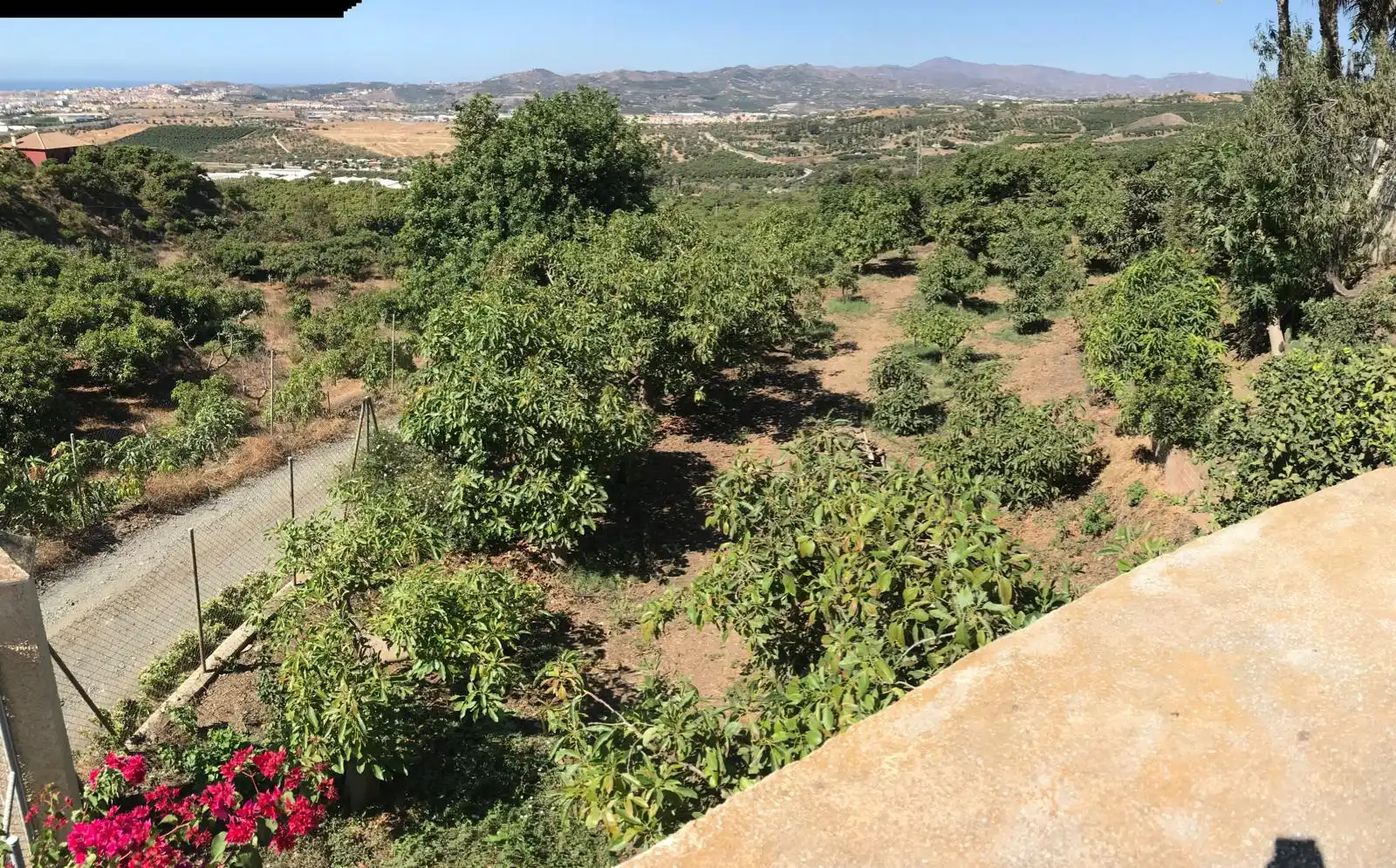 Casa in vendita a Diseminado Pinar Bajo, imagen 106