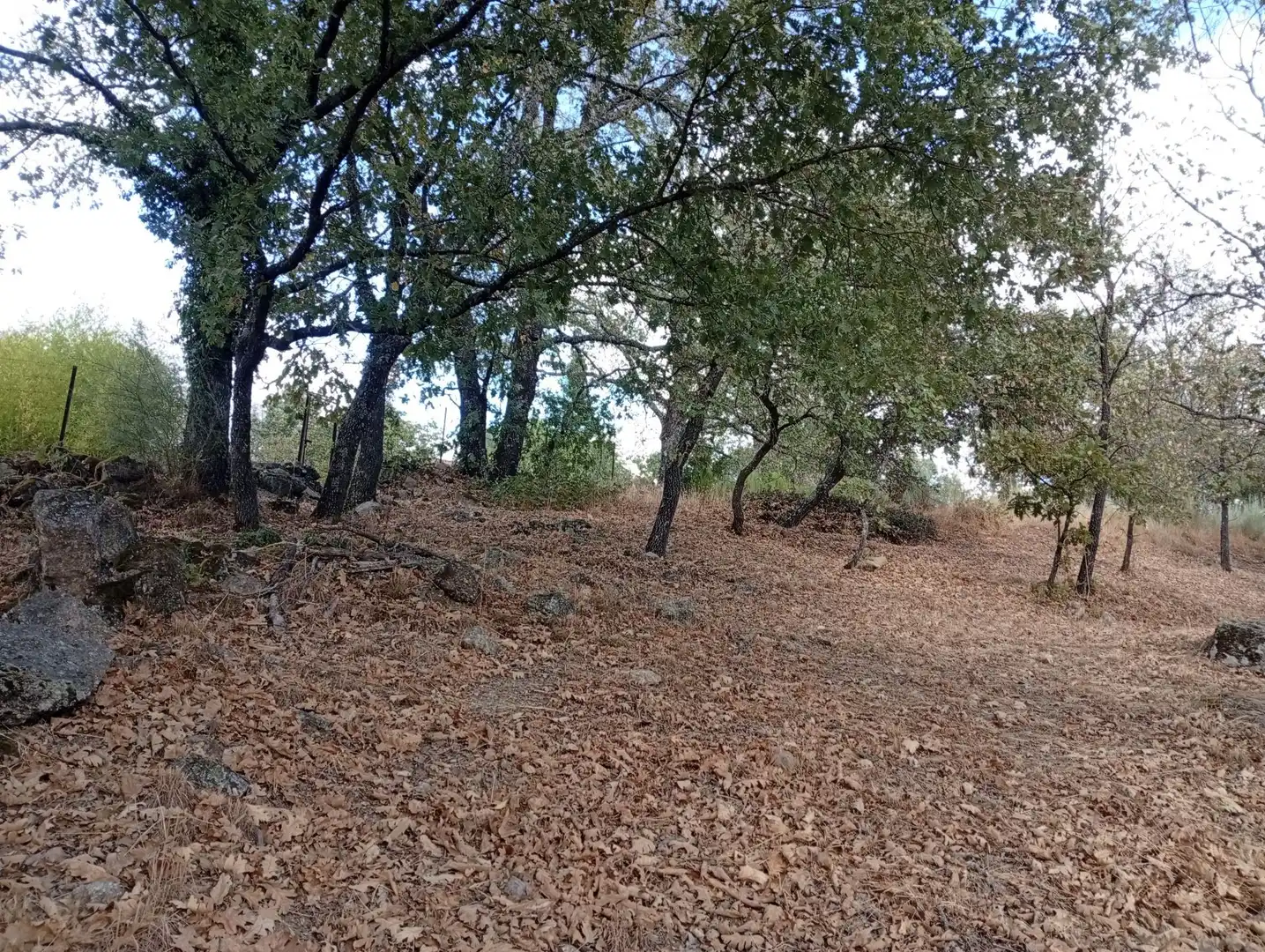 Terreni e lotti in vendita a Villanueva de la Vera, imagen 115