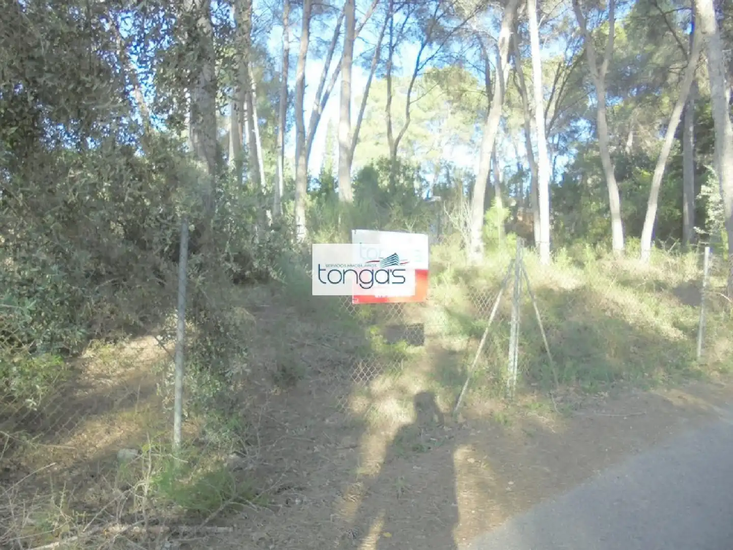 Terreno residencial en venta en El Genovés, imagen 8